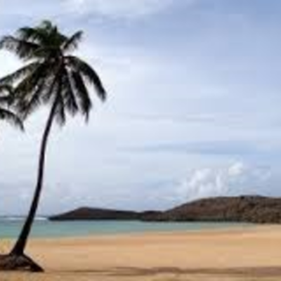 Timeline: Historia de los pueblos de Puerto Rico/ Vega Baja