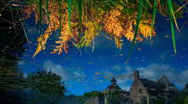 Timeline: Our British Travels