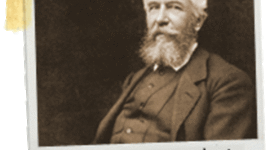 Timeline: Antecedentes de la ecología