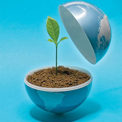 Timeline: Antecedentes de la Ecología