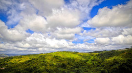 Timeline: historia de los pueblos de Puerto Rico/Aibonito