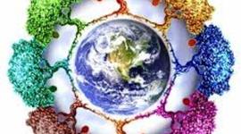 Timeline: Historia de la Ecologia