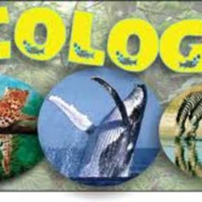 Timeline: Antecedentes de la Ecología Rocío Rod