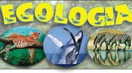 Timeline: Antecedentes de la Ecología Rocío Rod