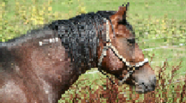 Timeline: Immigration and Western Expansion Timeline Project