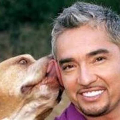 Timeline: CÉSAR MILLÁN