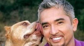 Timeline: CÉSAR MILLÁN