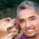 El encantador de perros cesar millan