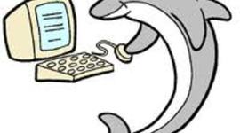 Timeline: Nimitz Dolphins