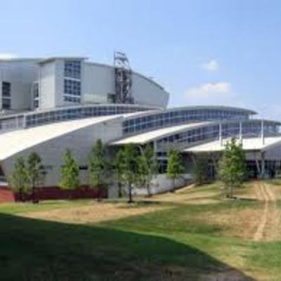 Timeline: Cambrian Fast Forward