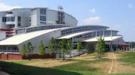 Timeline: Cambrian Fast Forward