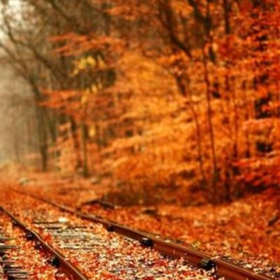 Timeline: Fall Crafts