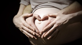 Timeline: Embriología