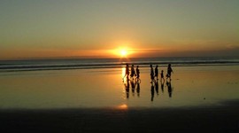 Timeline: LIBURAN TIM D