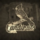 St. louis cardinals wallpaper