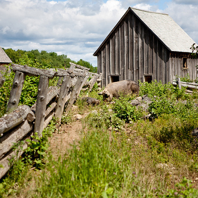 Timeline: Immigration and Westward Expansion