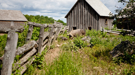 Timeline: Immigration and Westward Expansion