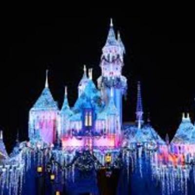 Timeline: Walt Disney World Activites