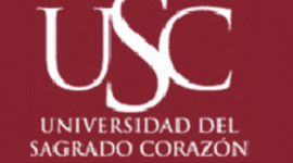 Timeline: Periodismo Digital en Puerto Rico