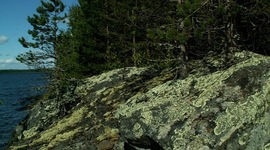 Timeline: Хроника одного путешествия