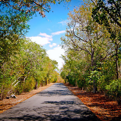 Timeline: Historia de los pueblos de Puerto Rico/Guánica