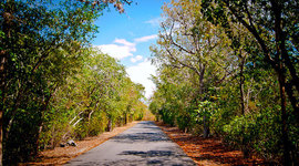 Timeline: Historia de los pueblos de Puerto Rico/Guánica