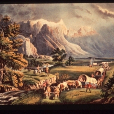 Timeline: Shannon mcDiffet Irish immigrant