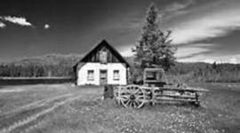 Timeline: Immigration Timeline