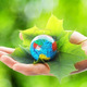 Ecologia mental