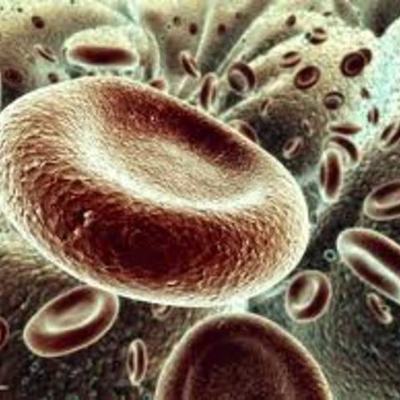 Timeline: L'évolution de la cellule