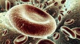 Timeline: L'évolution de la cellule