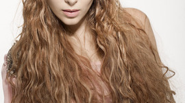 Timeline: Belinda's Peregrin Career