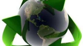 Timeline: Historia de la ecologia