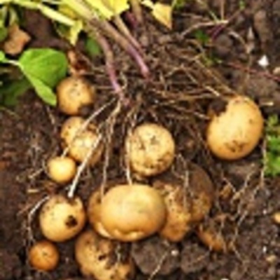 Timeline: The Trip through the Americas