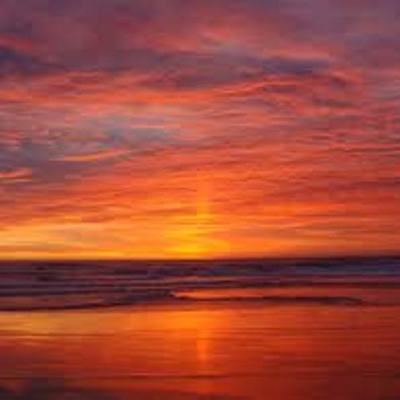 Timeline: La Vida de Bella