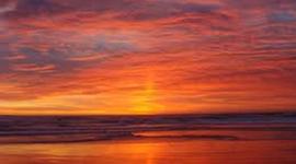 Timeline: La Vida de Bella