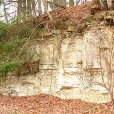 Timeline: Vasili Dokucháyev ( el estudio del suelo)