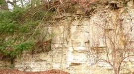 Timeline: Vasili Dokucháyev ( el estudio del suelo)