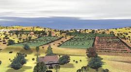 Timeline: End of First  9 Weeks Timeline - Rolando Avery