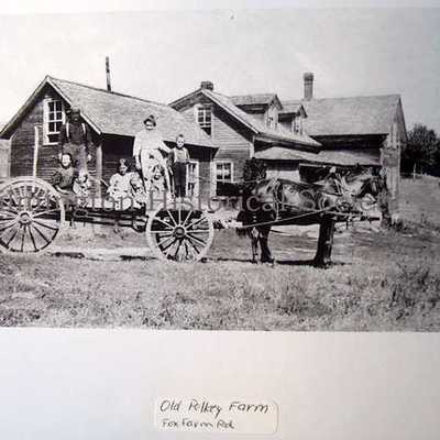 Timeline: Immigration Timeline