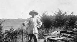 Timeline: Westward Immigration Movement timeline