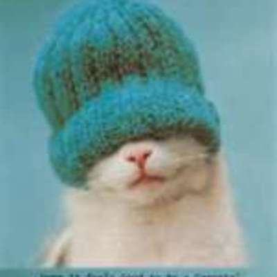 Timeline: Mavericks awesome moons