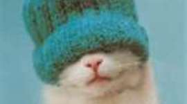 Timeline: Mavericks awesome moons