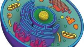 Timeline: Cells Through the Years