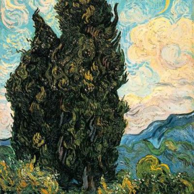 Timeline: Cypresses: The Story of Anneke Van Noordwijk