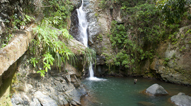 Timeline: Historia de los pueblos de Puerto Rico / Penuelas