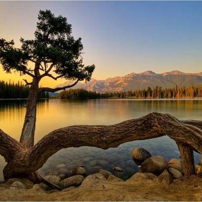 Timeline: Creación y Consolidación del Concepto de Desarrollo Sustentable