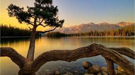 Timeline: Creación y Consolidación del Concepto de Desarrollo Sustentable