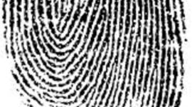 Timeline: History of Fingerprints