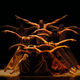 Alvin ailey